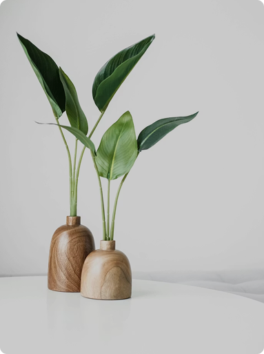 Thiết Bị Gia Dụng Thông Minh